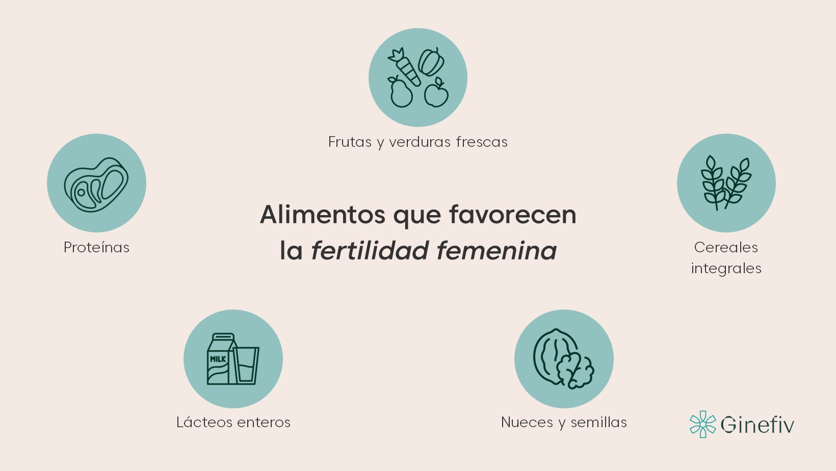 alimentos que favorecen a la fertilidad femenina