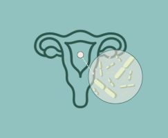 Microbiota endometrial ginefiv