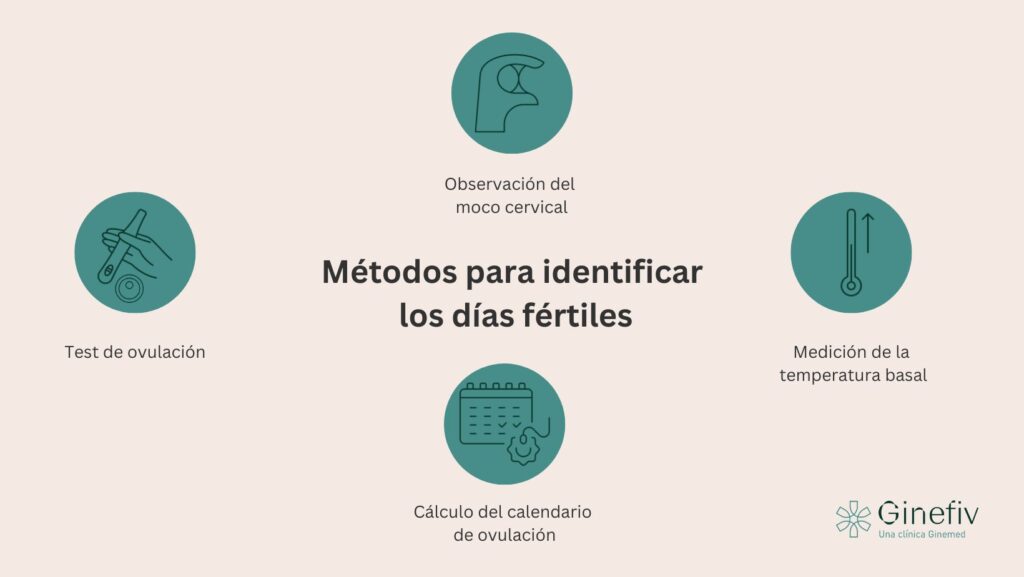 Identificar días fértiles