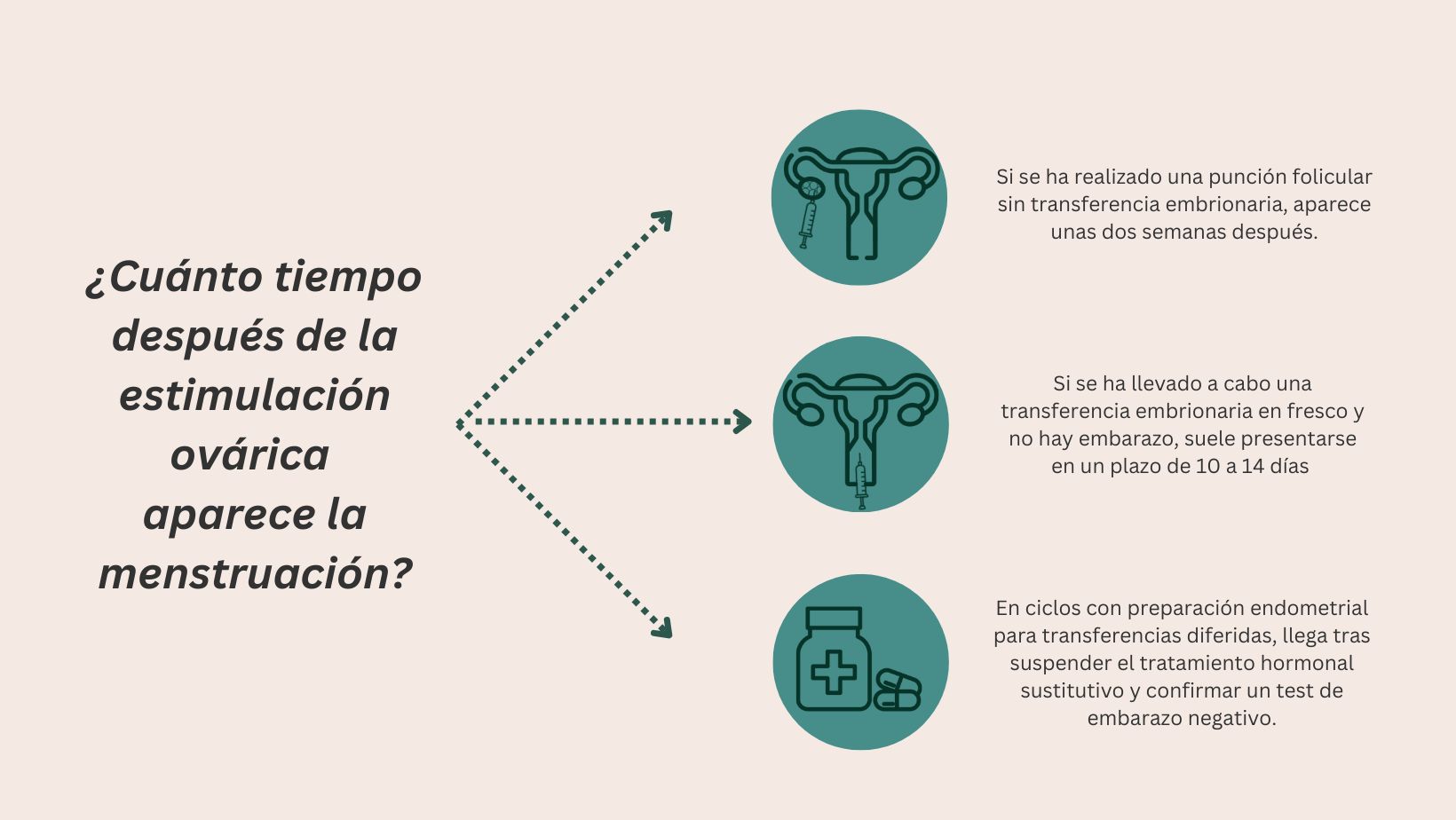 Cuánto tiempo tras estimulación ovárica