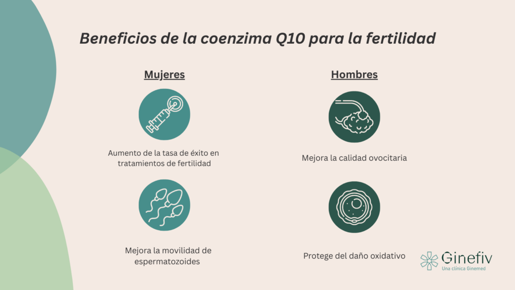 beneficios de la coenzima Q10 para la fertilidad