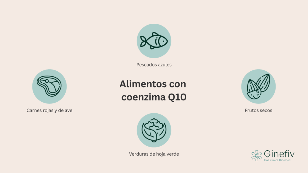 Alimentos ricos en coenzima Q10
