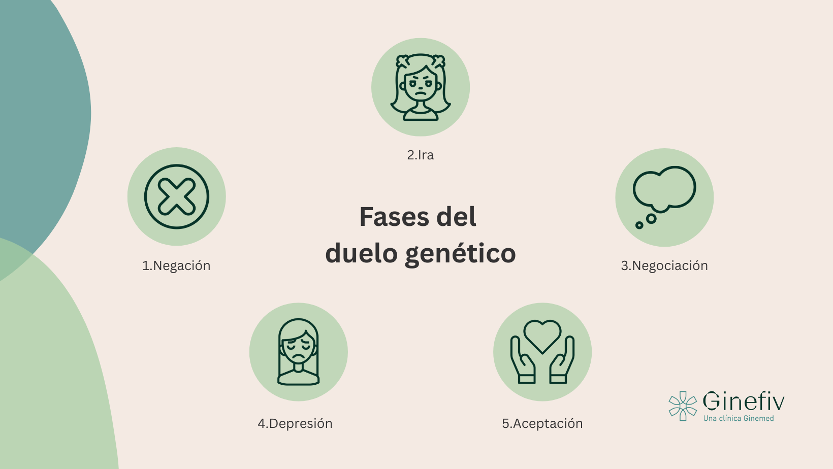 fases del duelo genético por ovodonación