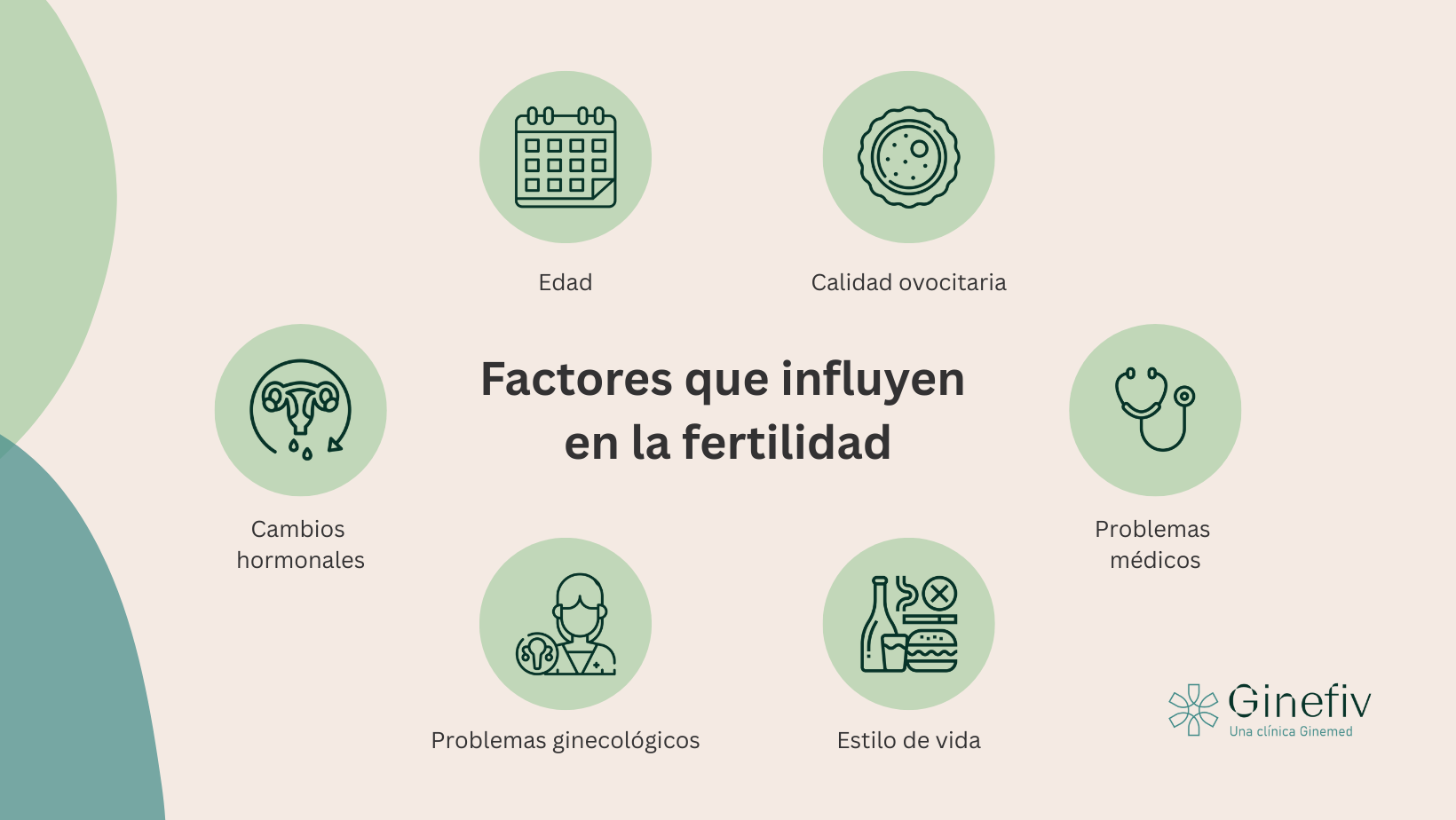 Factores que influyen en la fertilidad clínica de reproducción asistida Ginefiv