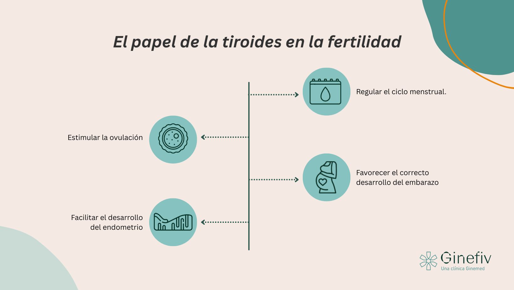 Relación tiroides y fertilidad