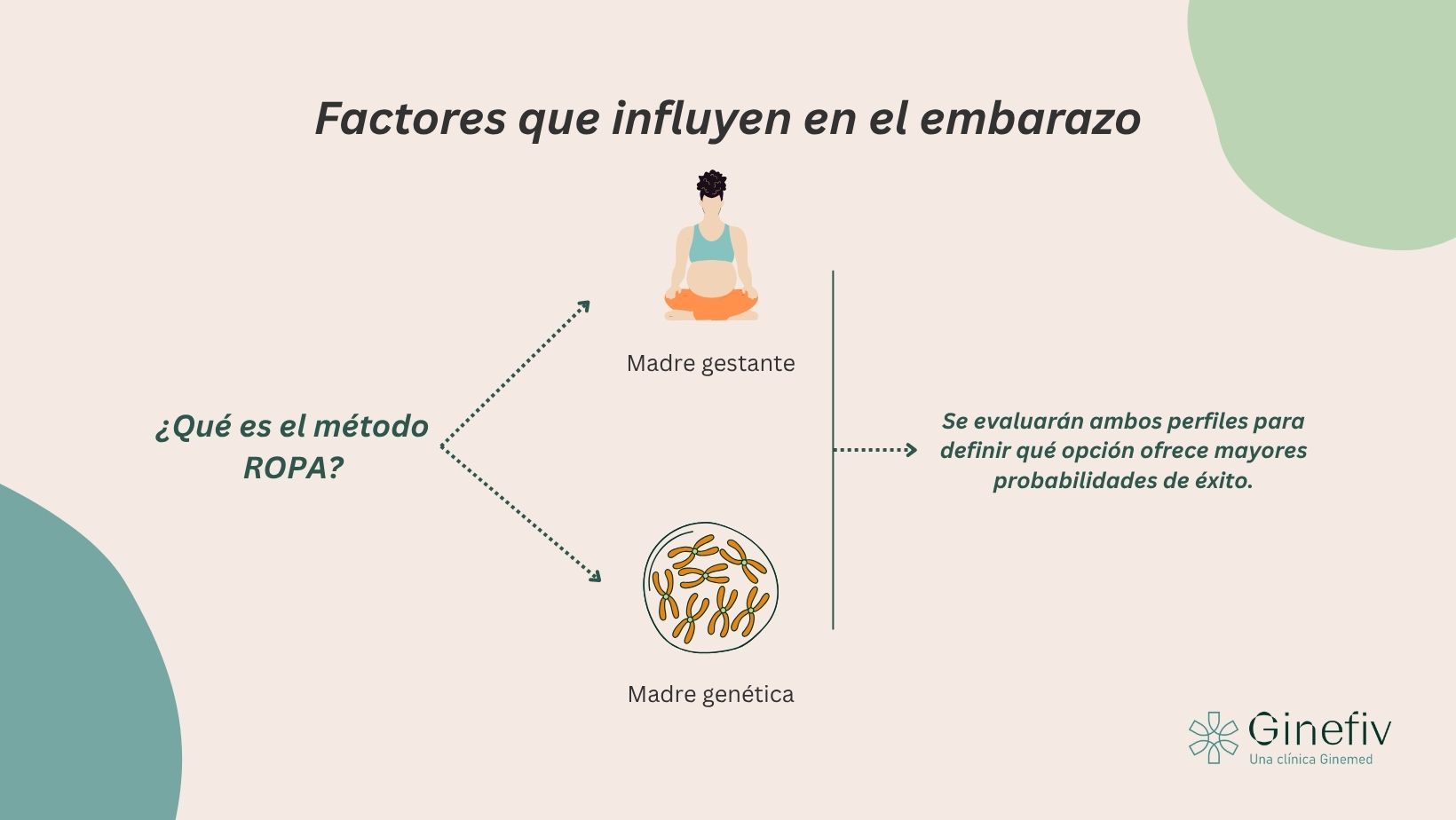 método ropa en Ginefiv