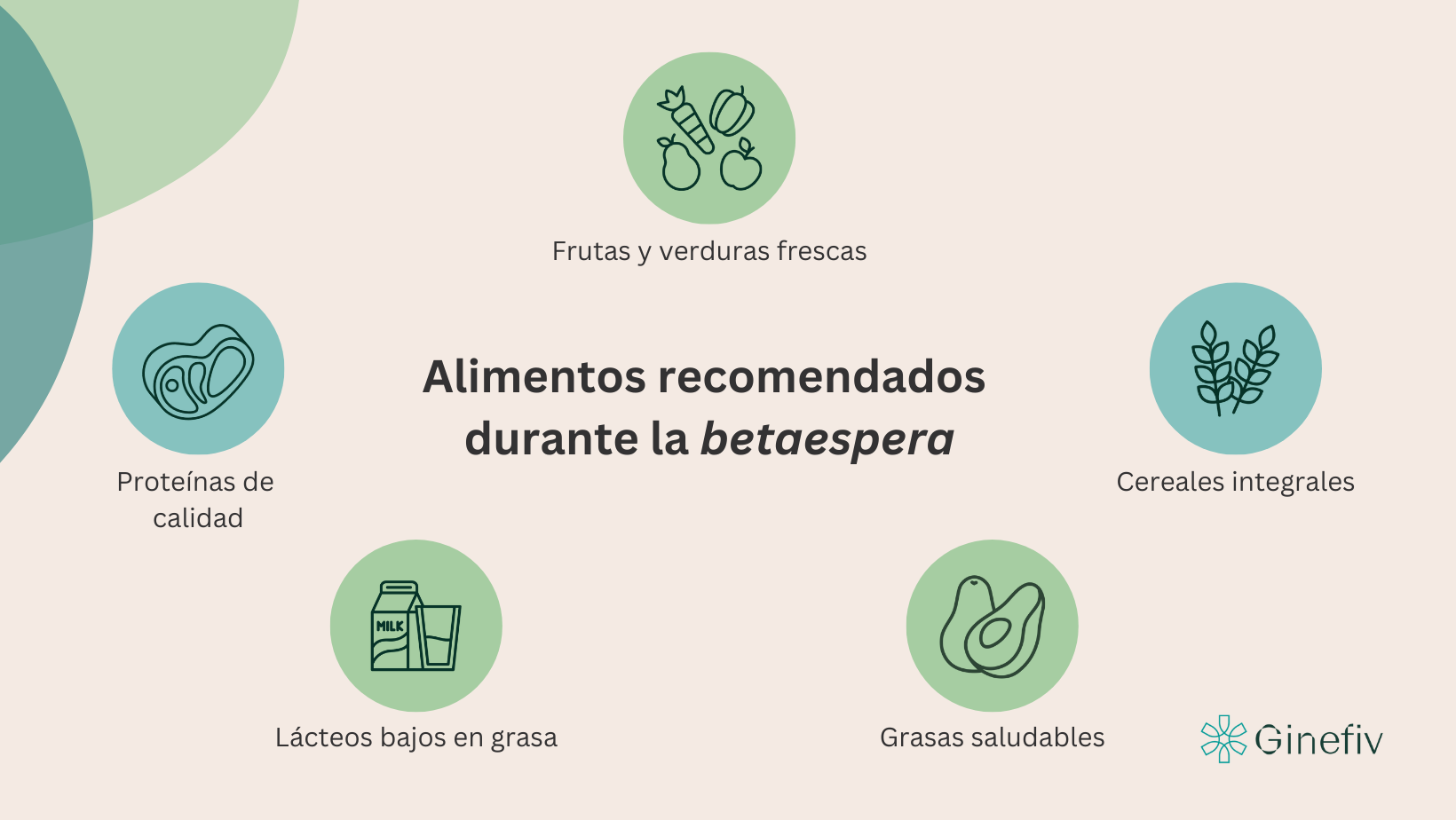 Alimentos recomendados durante la betaespera de un tratamiento de reproducción asistida