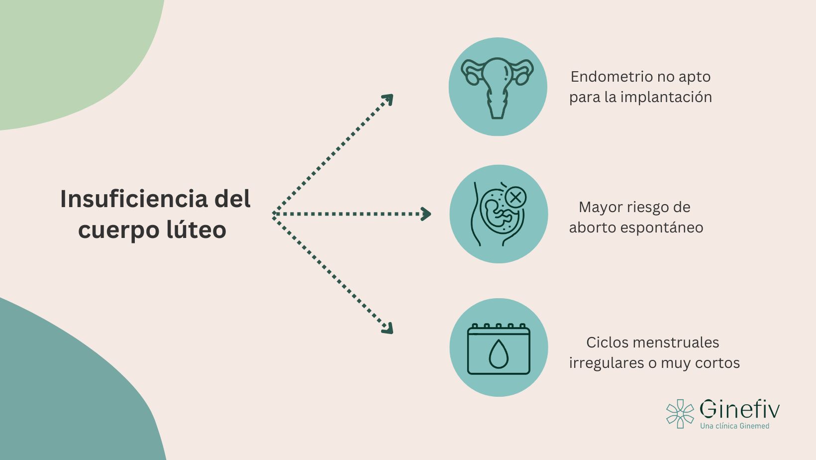 consecuencias en la fertilidad de la insuficiencia del cuerpo lúteo
