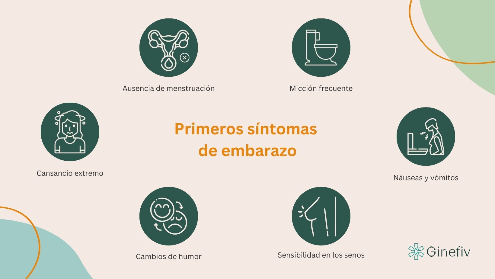 Primeros síntomas de embarazo