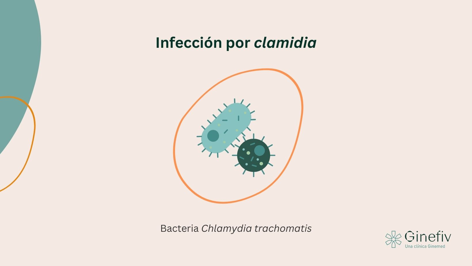 Imagen sobre la bacteria que provoca la infección por clamidia y su impacto en la fertilidad