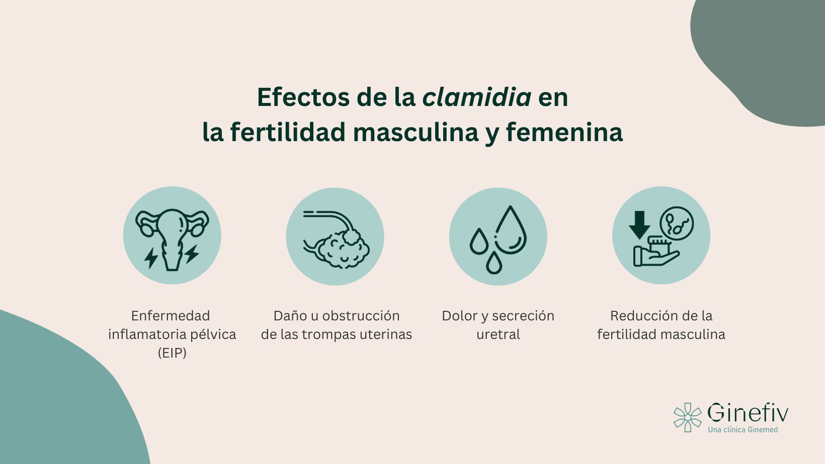 Infografía sobre los efectos de la clamidia en la fertilidad masculina y femenina