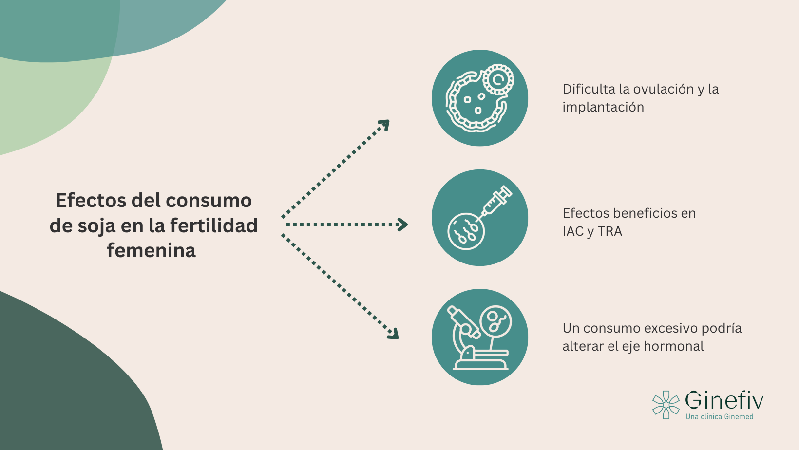 Infografía sobre los posibles efectos de la soja en la fertilidad femenina