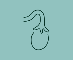 Valores normales FSH