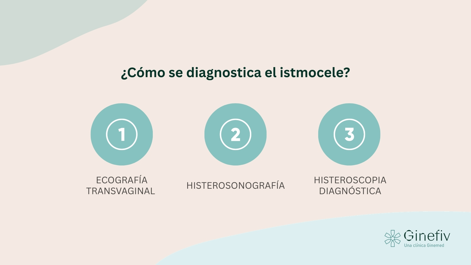 Las pruebas que permiten diagnosticar el istmocele son la ecografía transvaginal, la histerosonografía y la histeronoscopia diagnóstica