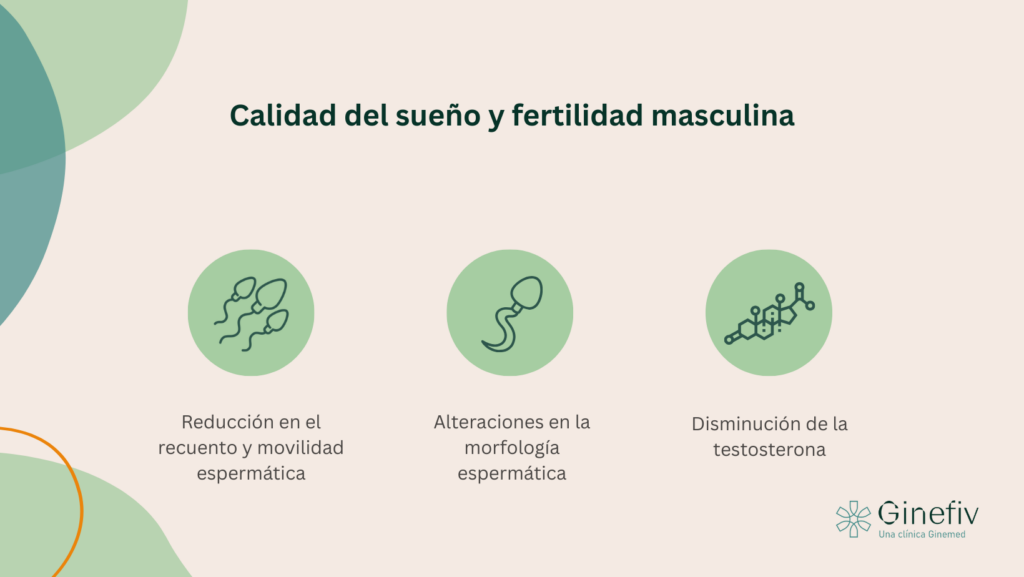 sueño y fertilidad masculina