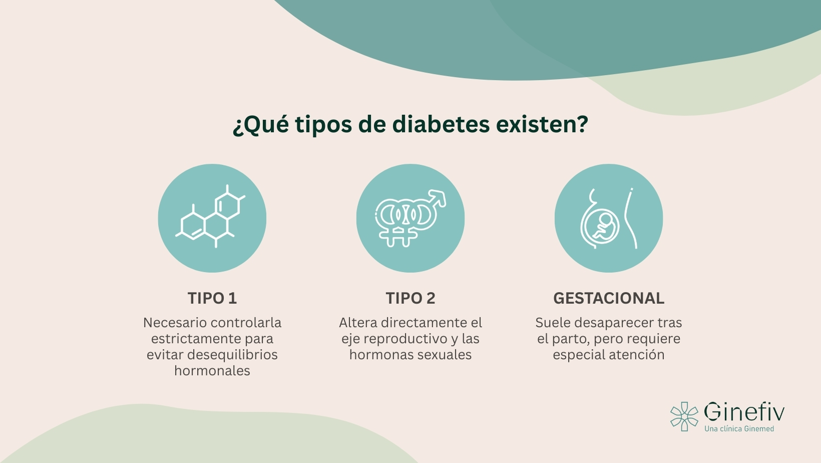 Existen tres tipos de diabetes: Diabetes Tipo 1, Diabetes Tipo 2 y Diabetes Gestacional