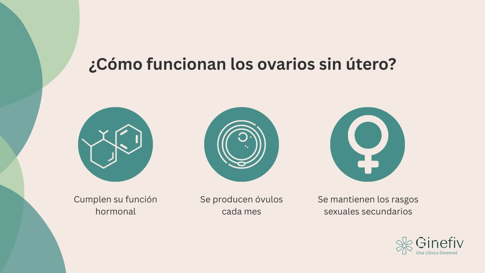 ¿Cómo funcionan los ovarios del cuerpo de una mujer que no tiene útero?