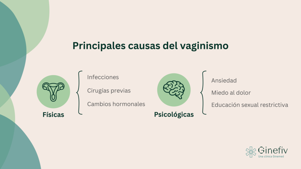 principales causas del vaginismo